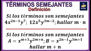 TERMINOS SEMEJANTES 01 Definición y Ejemplos [upl. by Nahpos]