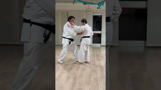 TaikyokuHeian Shodan Kata Bunkai part 3 karate kyusho bunkai shotokan shotokai heianshodan [upl. by Adnohr428]