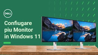 Configurare più monitor o schermi in Windows 11  Supporto Ufficiale Dell [upl. by Ainevul208]