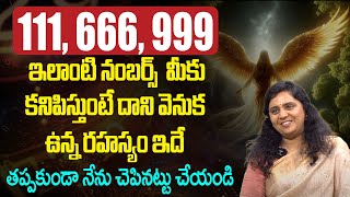 Angel numbers కనిపిస్తున్నాయా  Most Powerful Angel Numbers  Angel Numbers Meaning [upl. by Inaj]