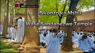 INkonzo ka Mshu Mkhabela wase Sandanezwe Temple  February 2024 [upl. by Olga]