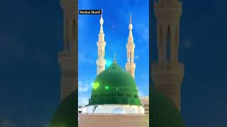 Ya Rasool Allah sallallahu alaihi wasallam love reel islam islamic [upl. by Nibram]