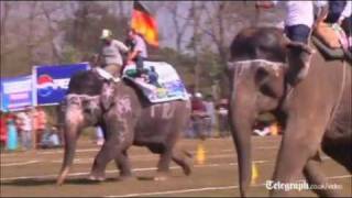 Elephants compete in Nepal beauty pageant [upl. by Enidanreb]