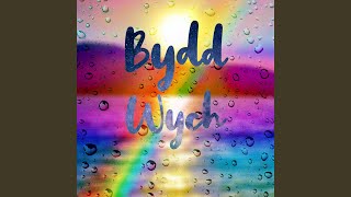 Bydd Wych [upl. by Ainehs]