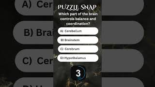 Which part of the brain controls balance and coordination motivation riddles gk quiz [upl. by Anohs]