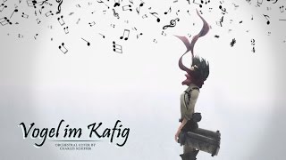 Vogel Im Käfig  Orchestral Cover by Charles Schiffer [upl. by Chaim852]