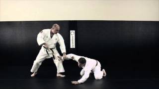 Nihon Goshin Aikido  Aikido Academy of Self Defense  Tarpon Springs [upl. by Januarius]