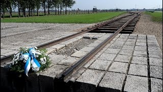 BIRKENAU Auschwitz II TOUR  The Disturbing Sorting Platform [upl. by Nicholle]