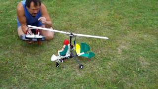 NEW GYROCOPTER RC PLANE [upl. by Charmine]