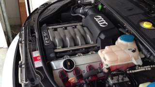 Stock 2005 Audi B6 S4 Cold Start [upl. by Lanti]