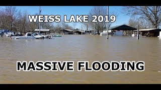 Massive Flood  Weiss Lake Alabama  Feb 2019 [upl. by Aloin]