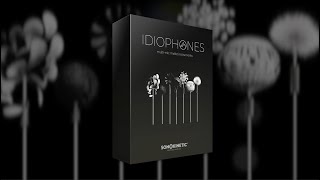 Idiophones  Overview [upl. by Elnar]