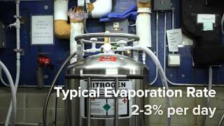 Filling and Maintaining Liquid Nitrogen Tanks [upl. by Sapphera]