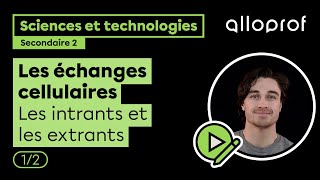 Les échanges cellulaire 12  Sciences et technologies  Alloprof [upl. by Tnelc474]