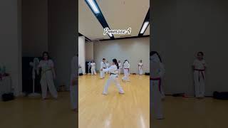 Poomsae 4 Practice shortvideo shorts taekwondo ashortsfeed [upl. by Ahsenad]