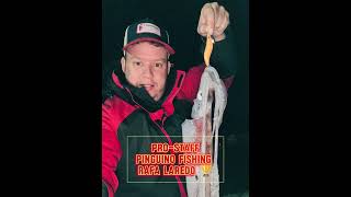 ✅ Pescador 👉 Rafa Laredo de 10🏆👍pinguinofishing pesca daiwa tenryu top tiendadepesca egin [upl. by Amlas258]