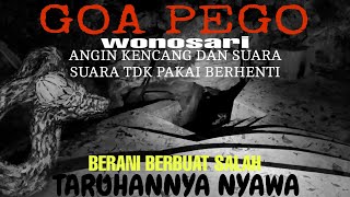 BEKAS LUTUT BANDUNG BONDOWOSO GOA PEGO [upl. by Nimar]