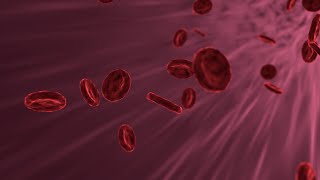 Blood Stock Footage  Blood Pressure  Free HD Videos  no copyright [upl. by Darahs]