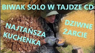 Biwak solo w tajdze Najtańsza kuchenka survivalowa Dziwne survival food które się sprawdza [upl. by Ellenuahs]