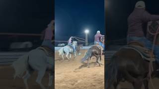 Roping Practice at Indian Cliffs Ranch Cattleman’s roping horses [upl. by Razal]