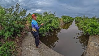 pescando y explorando un hermoso lugar de Pesca Con Anzuelo y lombriz [upl. by Naitsyrk]