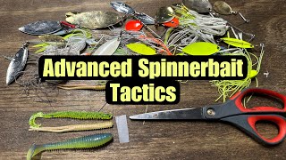 Advanced Spinnerbait Fishing Tactics And Techniques [upl. by Asilav934]