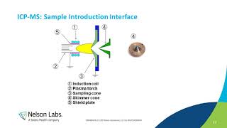 Risk Assessment for Potential Elemental Impurities on Drug ProductsMedical Devices [upl. by Anoyek]