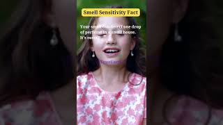 Smell Sensitivity Fact shorts shortsfeeds viralshorts youtubeshorts viralvideo [upl. by Rumery585]