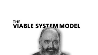 The Viable System Model [upl. by Tenner595]