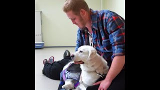 Psychiatric Service Dog Training [upl. by Ally503]