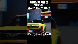 과연 제2의 현대기아차가 될 수 있을까 베트남의 자존심 빈패스트 automobile 전기차 자동차 [upl. by Noiramaj702]