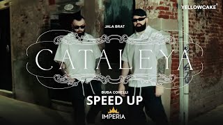 Jala Brat amp Buba Corelli  Cataleya  SPEED UP [upl. by Udell]