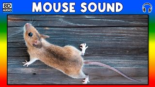 🐭 MOUSE SOUND  MOUSE SOUND EFFECT  SOUND OF MOUSE  NOISE OF MOUSE [upl. by Diandra]