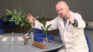 Transpiration the power of the potometer [upl. by Enyahs584]