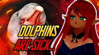 DOLPHINS GOT ISSUES  Casual Geographic Reaction [upl. by Athalie]