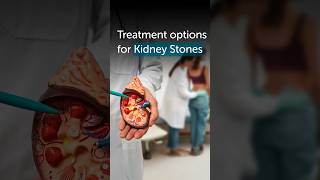 Understanding Kidney Stones Symptoms and Treatment  Dr Pradeep Rao  Gleneagles Hospital Mumbai [upl. by Delano]