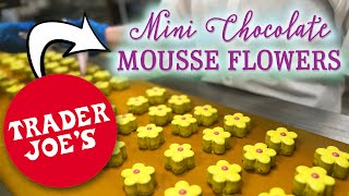 Making Mini Chocolate Mousse Cakes  Behind the Scenes at Trader Joes [upl. by Shaikh83]