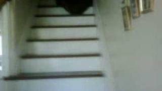 RETARD FALLS DOWN STAIRS D [upl. by Ainotal]