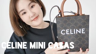 CELINE MINI CABAS BAG REVIEW包包开箱第2集 [upl. by Burtis]