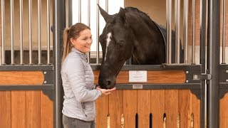 Trainingsopbouw jong paard  Anne en Lotte Meulendijks [upl. by Eimiaj]