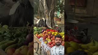 Gau Mata Ki Kahani humanity respect helping viralvideo [upl. by Oicangi]