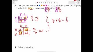 Worksheet 4 video [upl. by Anaillil]