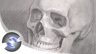 Drawing a Skull with Pencil [upl. by Durman]