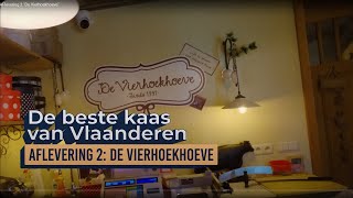 De beste kaas van Vlaanderen  Aflevering 2 quotDe Vierhoekhoevequot [upl. by Luane764]