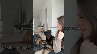 Meine Hunde hassen mich youtubeshorts [upl. by Godred]