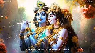 Radhakrishna Instrumental Song  Radhakrishna Soundtracks  Mind Blowing [upl. by Bunde885]