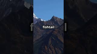 Machapuchare facts himalays travel mountainhills facts nature mountains shorts shortvideo [upl. by Roe]