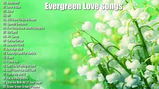 Evergreen Love songs Full Album Vol 97  Various Artists [upl. by Ettelrac196]