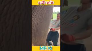 হাতী কফি। Assamese Facts । shorts assamese assam assamesevideo [upl. by Alfons350]