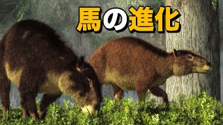 【馬の進化】馬に見えない馬が、どうやって馬になったのか？ [upl. by Samuel815]